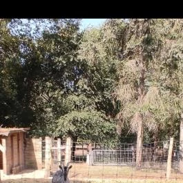 Bábolnai Arborétum & Állatpark, Bábolna - Egyéb