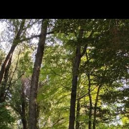 Bábolnai Arborétum & Állatpark, Bábolna - Egyéb