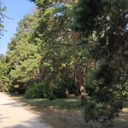 Bábolnai Arborétum & Állatpark, Bábolna - Egyéb