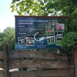 Bábolnai Arborétum & Állatpark, Bábolna - Egyéb