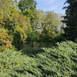 Bábolnai Arborétum & Állatpark, Bábolna - Egyéb