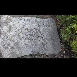 Bábolnai Arborétum & Állatpark, Bábolna - Egyéb