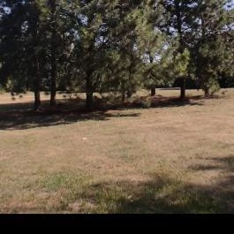 Bábolnai Arborétum & Állatpark, Bábolna - Egyéb