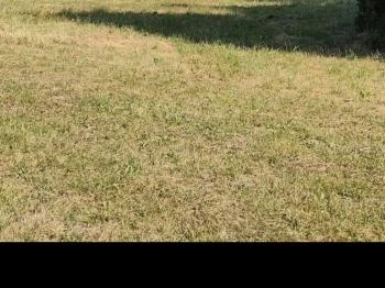 Bábolnai Arborétum & Állatpark Bábolna