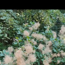 Bábolnai Arborétum & Állatpark, Bábolna - Egyéb