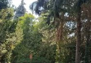 Bábolnai Arborétum & Állatpark Bábolna