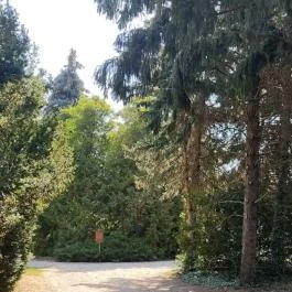 Bábolnai Arborétum & Állatpark, Bábolna - Egyéb