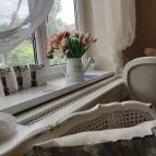 Café Nana Sopron - Egyéb