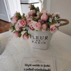 Café Nana Sopron - Egyéb