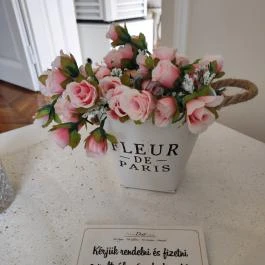 Café Nana Sopron - Egyéb