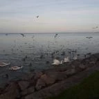 CE Plaza Hotel Siófok - Egyéb