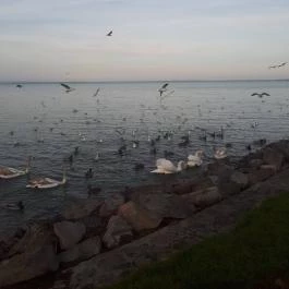 CE Plaza Hotel, Siófok - Egyéb