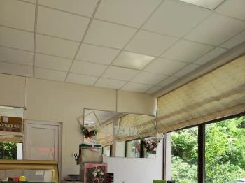 Cukitanya Parád Cukitanya Parád