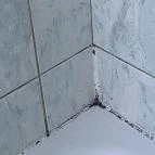 Dávid Apartman Gyula - Egyéb