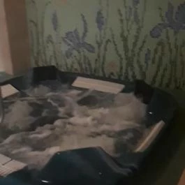 Elizabeth Hotel Gyula - Egyéb