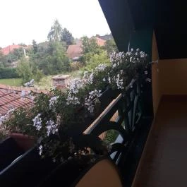 Fészek Apartmanház, Gyula - Egyéb