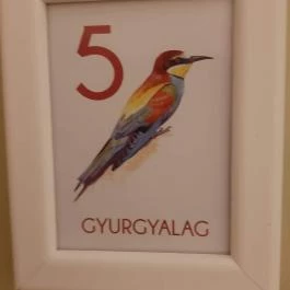 Fészek Apartmanház, Gyula - Egyéb