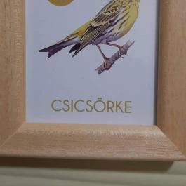 Fészek Apartmanház, Gyula - Egyéb