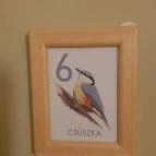 Fészek Apartmanház Gyula - Egyéb