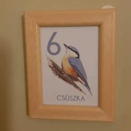 Fészek Apartmanház, Gyula - Egyéb