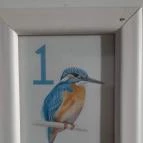 Fészek Apartmanház Gyula - Egyéb