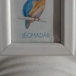 Fészek Apartmanház, Gyula - Egyéb