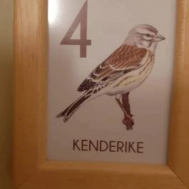 Fészek Apartmanház, Gyula - Egyéb