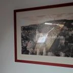 Főnix Hotel Pécs - Egyéb