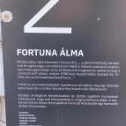 Fortuna-kút Veszprém - Egyéb