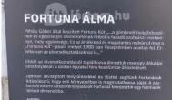 Fortuna-kút Veszprém - Egyéb