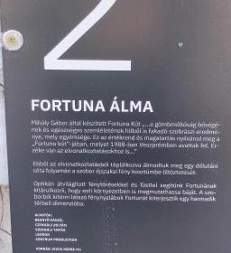 Fortuna-kút