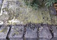 Fortuna-kút Veszprém