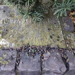 Fortuna-kút Veszprém - Egyéb