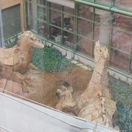 Fővárosi Szabó Ervin Könyvtár Budapest - Egyéb