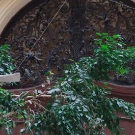 Fővárosi Szabó Ervin Könyvtár Budapest - Egyéb