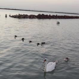 Balatontourist Füred Kemping és Üdül?falu, Balatonfüred - Egyéb
