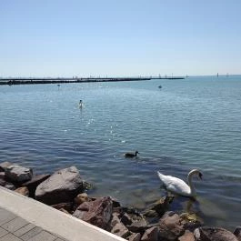Balatontourist Füred Kemping és Üdül?falu, Balatonfüred - Egyéb