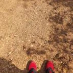 Gánti Bauxitföldtani Park Gánt - Egyéb