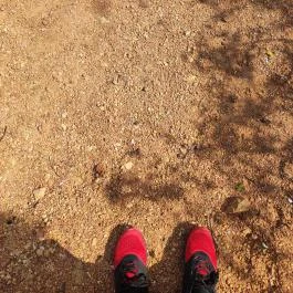 Gánti Bauxitföldtani Park, Gánt - Egyéb