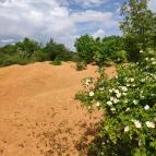 Gánti Bauxitföldtani Park Gánt - Egyéb