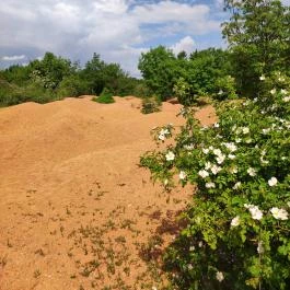 Gánti Bauxitföldtani Park, Gánt - Egyéb