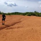 Gánti Bauxitföldtani Park Gánt - Egyéb