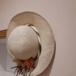 Harmónia Villa Gyula - Egyéb