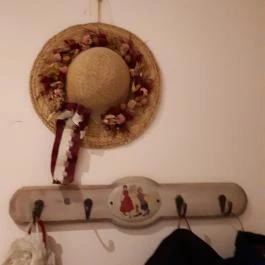 Harmónia Villa Gyula - Egyéb