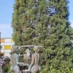 Három Grácia csobogó Veszprém - Egyéb