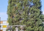 Három Grácia csobogó Veszprém