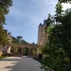 Szabadkígyósi Wenckheim-kastély Szabadkígyós - Egyéb