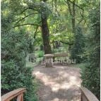 Szabadkígyósi Wenckheim-kastély Szabadkígyós - Egyéb