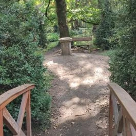 Szabadkígyósi Wenckheim-kastély Szabadkígyós - Egyéb