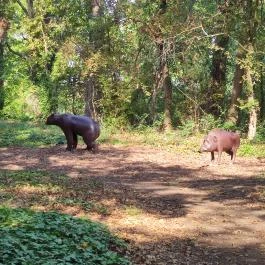 Szabadkígyósi Wenckheim-kastély Szabadkígyós - Egyéb